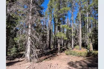 3375 Purnell Lane, Fort Garland, CO 81133 - Photo 12