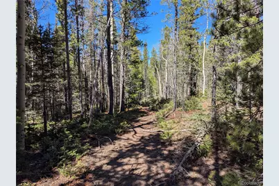 3375 Purnell Lane, Fort Garland, CO 81133 - Photo 8