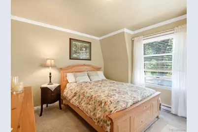 410 E Idaho Springs Road, Idaho Springs, CO 80452 - Photo 16