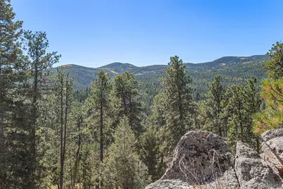77 Gigi Lane, Evergreen, CO 80439 - Photo 48