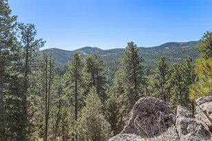 77 Gi-Gi Ln, Evergreen, CO 80439 - Photo 48