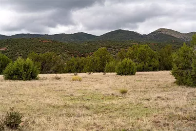 4 Lot Iron Handle Road, Penrose, CO 81240 - Photo 10