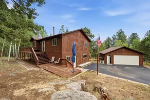 46 Bay Ln, Bailey, CO 80421 - Photo 10