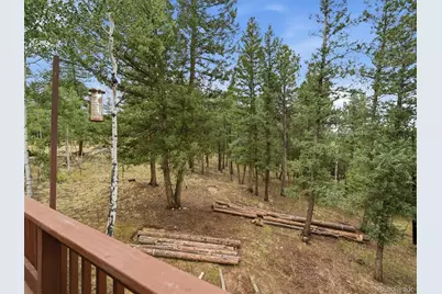 46 Bay Lane, Bailey, CO 80421 - Photo 14