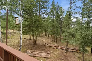 46 Bay Ln, Bailey, CO 80421 - Photo 14