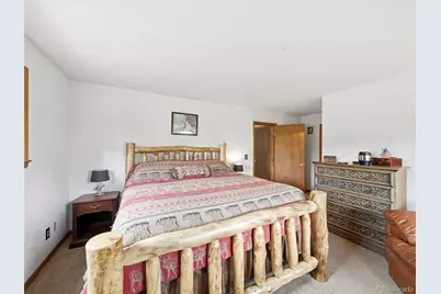 46 Bay Lane, Bailey, CO 80421 - Photo 24