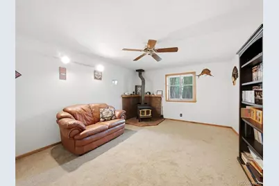 46 Bay Lane, Bailey, CO 80421 - Photo 32