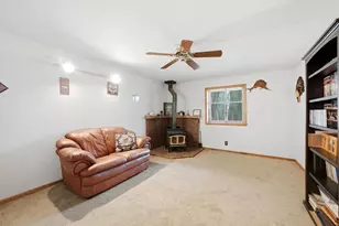46 Bay Ln, Bailey, CO 80421 - Photo 32