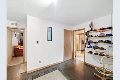46 Bay Lane, Bailey, CO 80421 - Photo 34