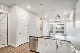 20 Wilcox Street, Castle Rock, CO 80104 - Photo 4