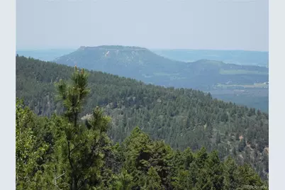 13670 Spruce Creek Circle, Larkspur, CO 80118 - Photo 10