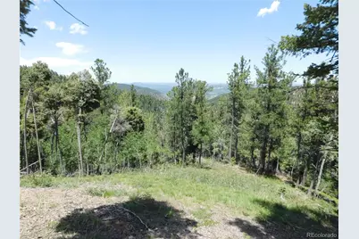 13670 Spruce Creek Circle, Larkspur, CO 80118 - Photo 4