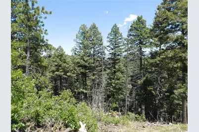 13670 Spruce Creek Circle, Larkspur, CO 80118 - Photo 18