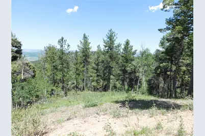 13670 Spruce Creek Circle, Larkspur, CO 80118 - Photo 2