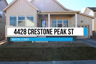 4428 Crestone Peak St, Brighton, CO 80601 - Photo 40