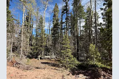 Lot 3408 Drexler Place, Fort Garland, CO 81133 - Photo 4