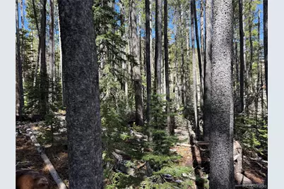 Lot 3408 Drexler Place, Fort Garland, CO 81133 - Photo 16