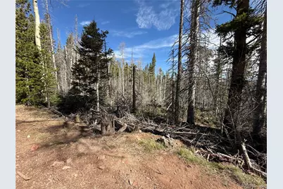 Lot 3408 Drexler Place, Fort Garland, CO 81133 - Photo 8