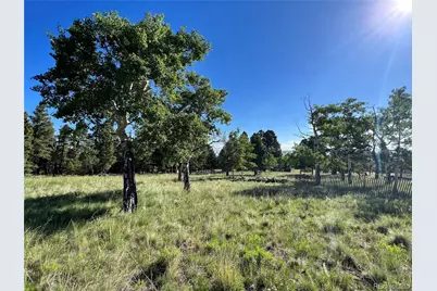 9430 Ranch Road Road, Hartsel, CO 80449 - Photo 2