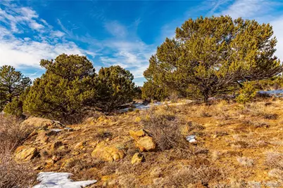 740 Dilley Road, Westcliffe, CO 81252 - Photo 14
