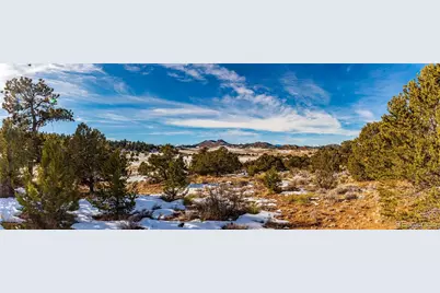 740 Dilley Road, Westcliffe, CO 81252 - Photo 30