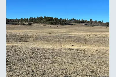 4284 Goldenberg Canyon Road, Hartsel, CO 80449 - Photo 14