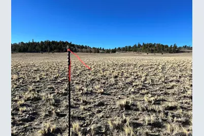 4284 Goldenberg Canyon Road, Hartsel, CO 80449 - Photo 22