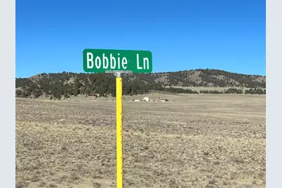 4284 Goldenberg Canyon Road, Hartsel, CO 80449 - Photo 18