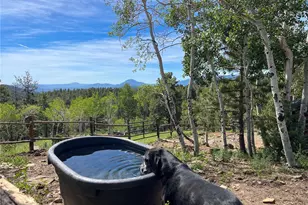 150 Summit Dr, Bailey, CO 80421 - Photo 38