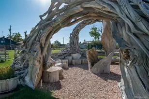 46553 Avery Ln, Bennett, CO 80102 - Photo 34