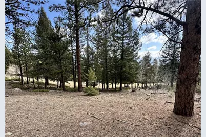 30317 Aspen Turn, Buena Vista, CO 81211 - Photo 14