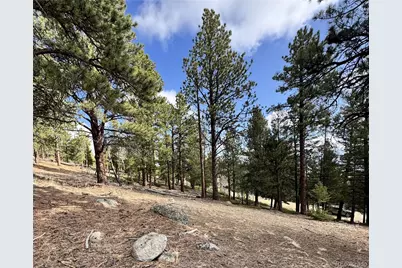 30317 Aspen Turn, Buena Vista, CO 81211 - Photo 18