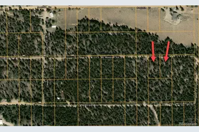 66 Mount Massive Road, Twin Lakes, CO 81251 - Photo 2