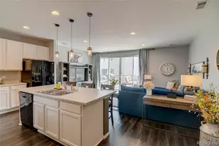 1868 Makley Loop, Castle Rock, CO 80104 - Photo 4