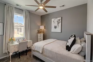 1868 Makley Loop, Castle Rock, CO 80104 - Photo 20