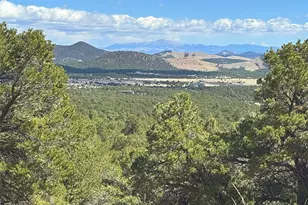 Tbd - Lot 36 Corral N, Texas Creek, CO 81223 - Photo 1