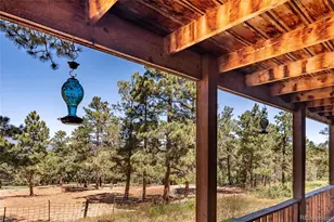 24401 Co Rd 44, Aguilar, CO 81020 - Photo 42
