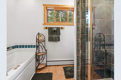 1407 Delwood Drive, Bailey, CO 80421 - Photo 20