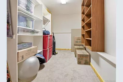 1407 Delwood Drive, Bailey, CO 80421 - Photo 28