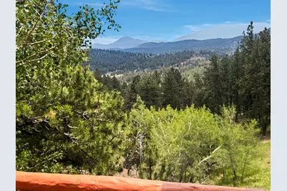 1407 Delwood Drive, Bailey, CO 80421 - Photo 30