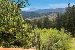 1407 Delwood Dr, Bailey, CO 80421 - Photo 30
