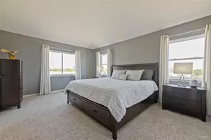 9102 White Pelican Way, Littleton, CO 80126 - Photo 22