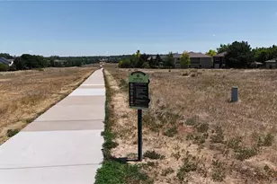 9102 White Pelican Way, Littleton, CO 80126 - Photo 48