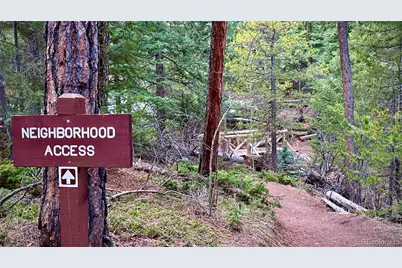 25257 Snyder Avenue, Conifer, CO 80433 - Photo 32