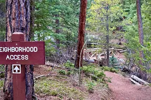 25257 Snyder Ave, Conifer, CO 80433 - Photo 32