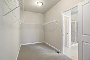 1821 Thrive Dr, Windsor, CO 80550 - Photo 30