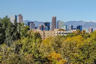 1313 Steele St, Denver, CO 80206 - Photo 26