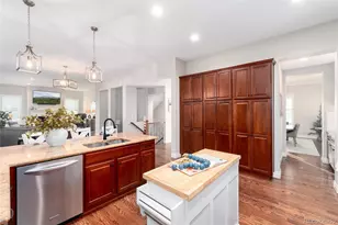 10286 Greentrail Cir, Lone Tree, CO 80124 - Photo 14