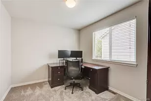 226 Chelsea St, Castle Rock, CO 80104 - Photo 18