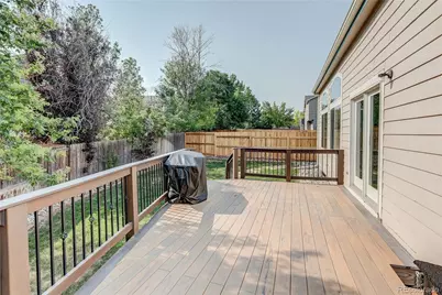 226 Chelsea Street, Castle Rock, CO 80104 - Photo 26